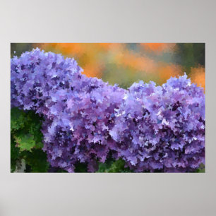 Impressionistic Hydrangea Poster