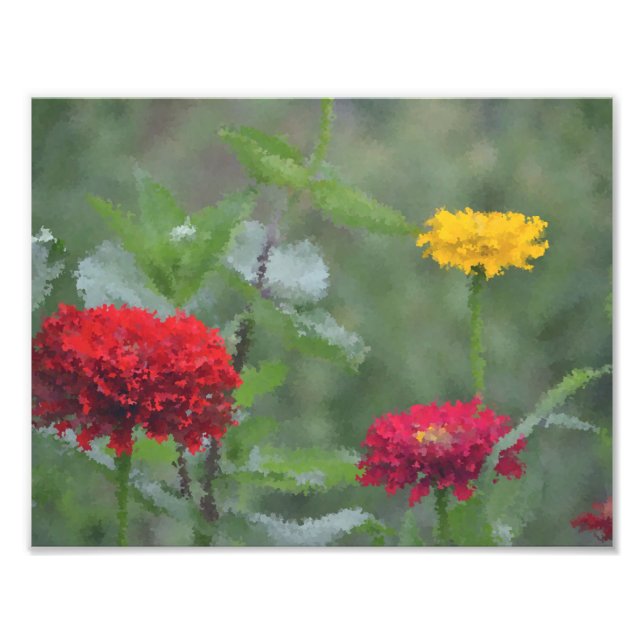 Impressionistic Zinnias Photo Print (Front)