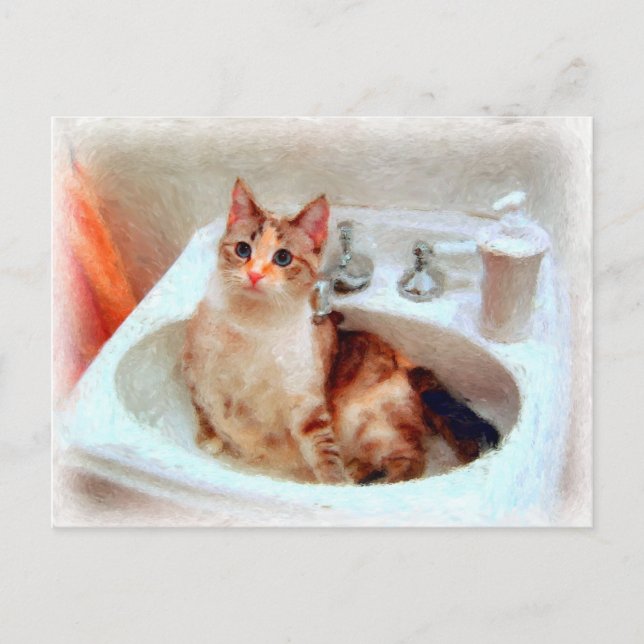 Impressionist's Cat in a Sink Basin Postcard (Front)