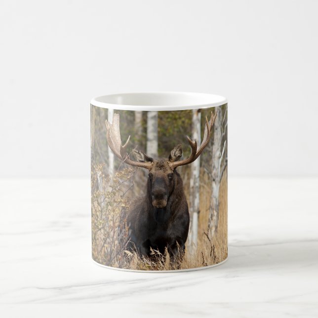 Impressive Bull Moose Coffee Mug (Center)