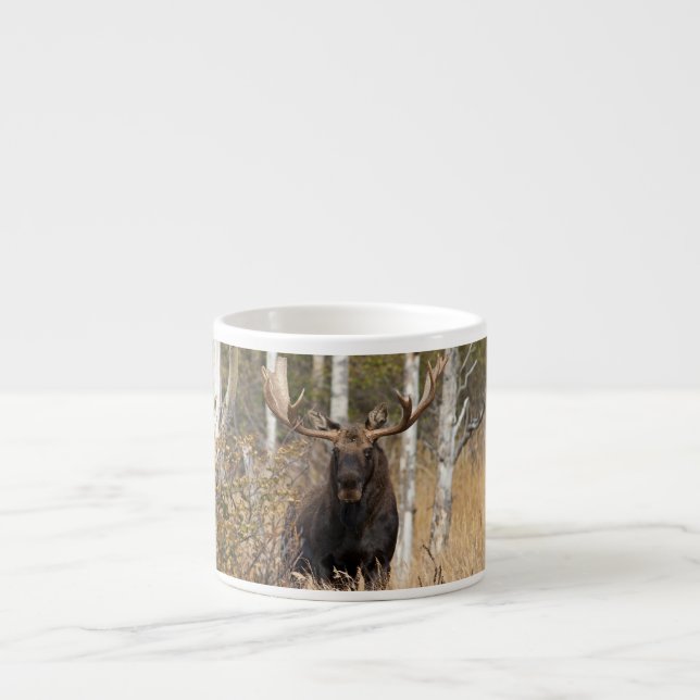 Impressive Bull Moose Espresso Cup (Front)