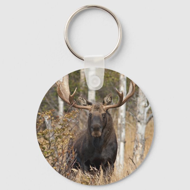 Impressive Bull Moose Key Ring (Front)