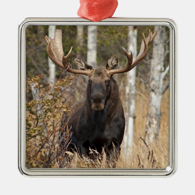 Impressive Bull Moose Metal Tree Decoration (Front)