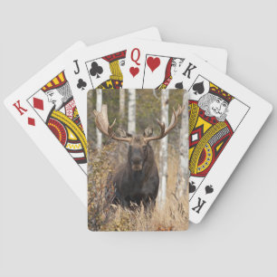 Impressive Bull Moose Playing Cards
