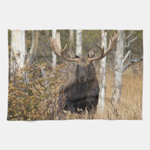 Impressive Bull Moose Tea Towel