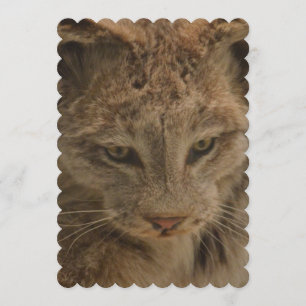 Impressive Lynx Invitation