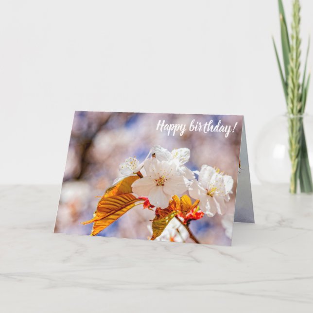 Impressive Sakura Flowers On A Sunny Day Of Spring Card (Front)