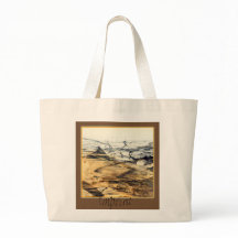 Imprint for Evolution