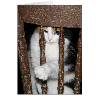 Imprisoned