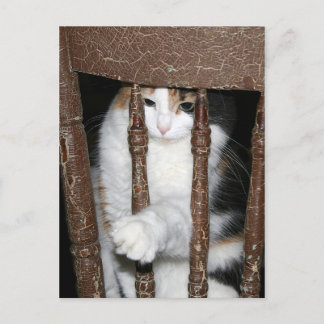 Imprisoned Postcard