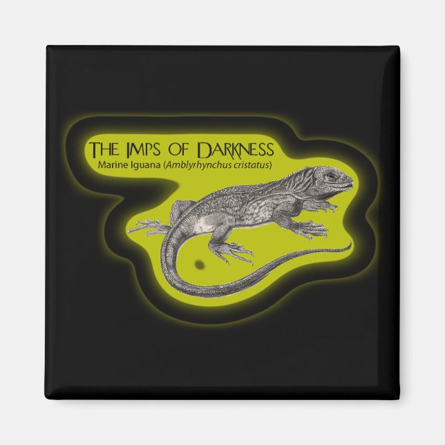 Imps of Darkness (on Dark) Magnet (Front)
