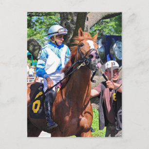 Imvros Pride making his first start Postcard