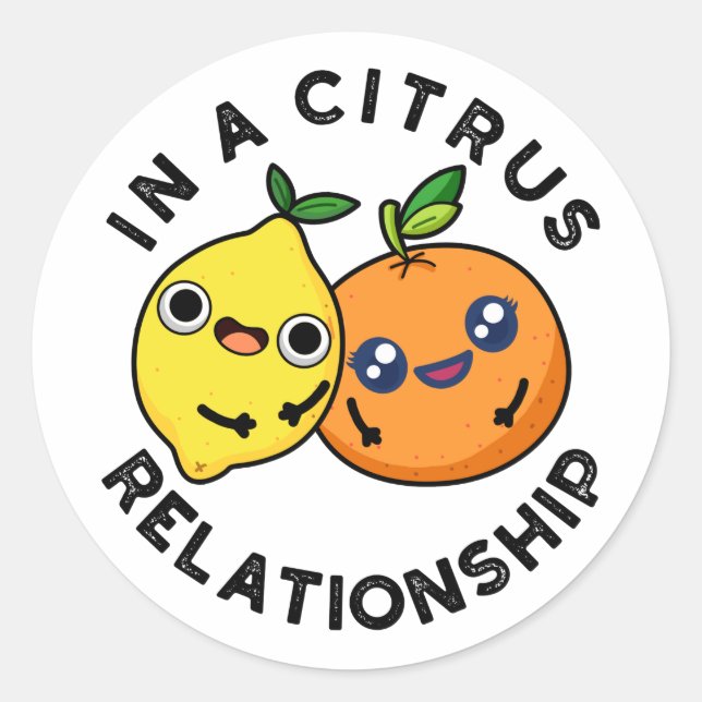 In A Citrus Relationship Funny Fruit Pun  Classic Round Sticker (Front)