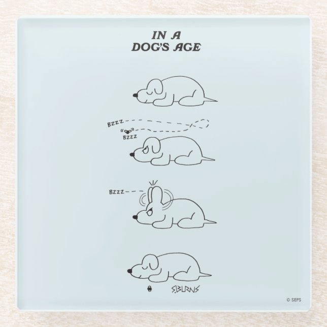 In a Dog's Age Glass Coaster (Front)