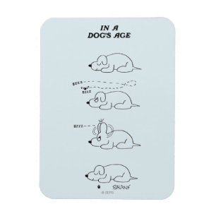 In a Dog's Age Magnet