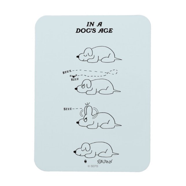 In a Dog's Age Magnet (Vertical)
