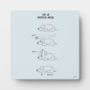 In a Dog's Age Plaque