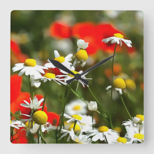 In A Field of Poppies Be A Daisy Square Wall Clock