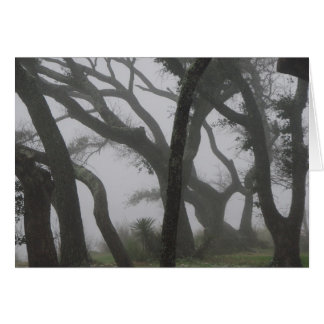 In a Fog