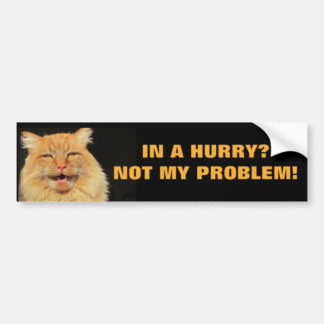 In A Hurry? Not My Problem Cat Meme Bumper Sticker (Front)