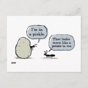In A Pickle Postcard