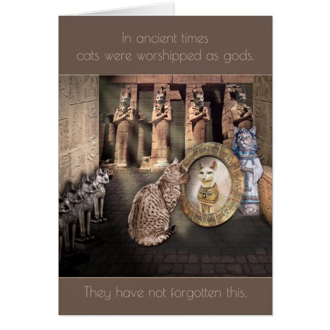 In Ancient Times, Cats were worshipped as Gods... (Front)