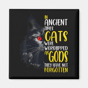 In Ancient Times Cats Were Worshipped As Gods Pet Magnet