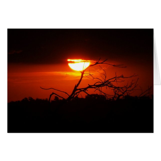 In Between the Darkness Card (Front Horizontal)