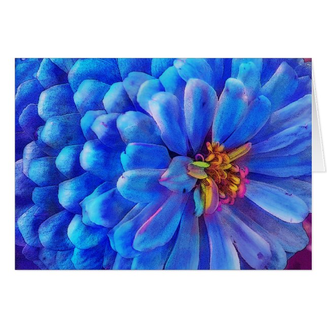 In blue, Zinnia card, flower (Front Horizontal)