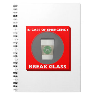 In Case of Emergency, Break Glass Notebook