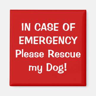 In Case of Emergency Magnet