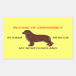 In Case of Emergency Newfoundland Dog Safety Rectangular Sticker