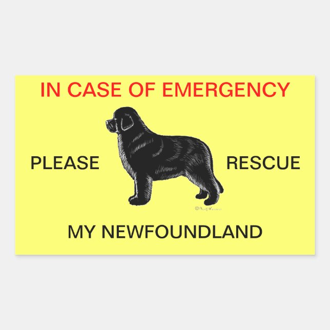 In Case of Emergency Newfoundland Dog Safety Rectangular Sticker (Front)