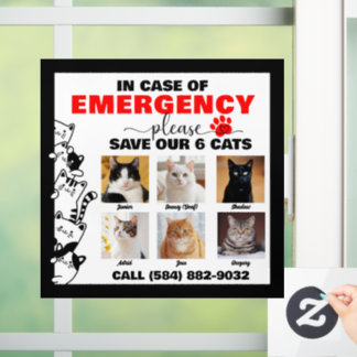 In Case of Emergency Save 6 Cats With Custom Photo Window Cling