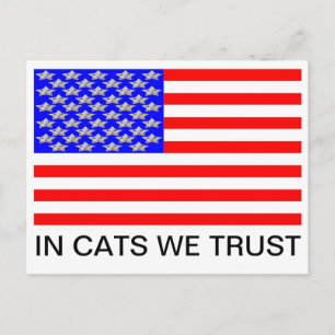 In Cats We Trust Postcard