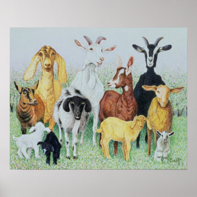 In Clover Poster (Front)