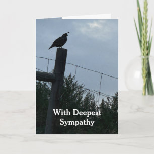 In Deepest Sympathy California Quail Bird Card