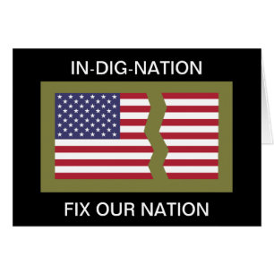 IN-DIG-NATION FIX OUR NATION