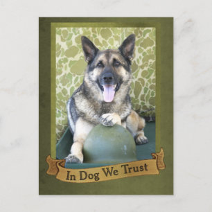 In Dog We Trust Postcard