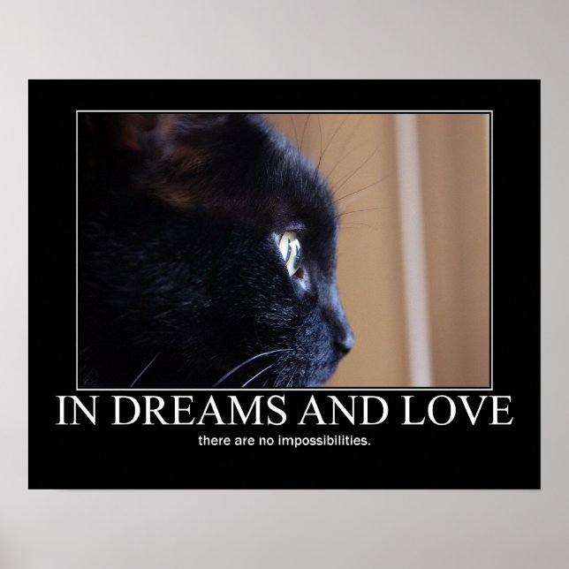 In Dreams and Love Cat Inspiration Artwork Poster (Front)
