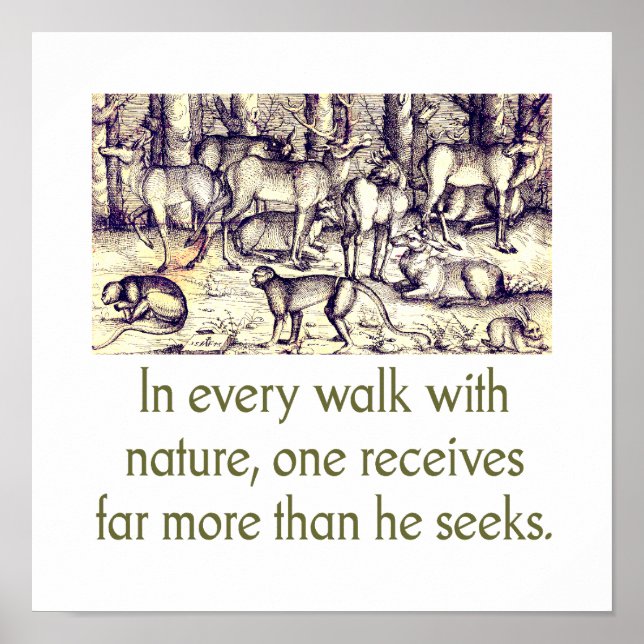 In Every Walk With Nature - Quote Poster (Front)