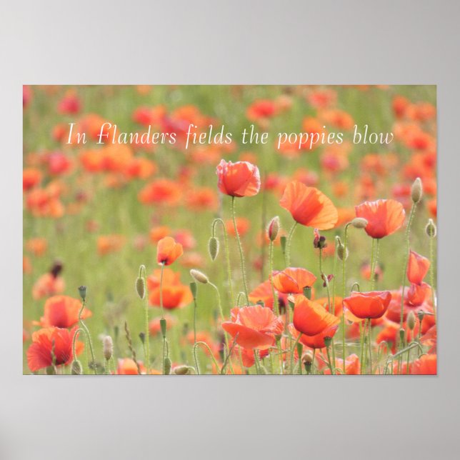 In Flanders fields the poppies blow Poster (Front)
