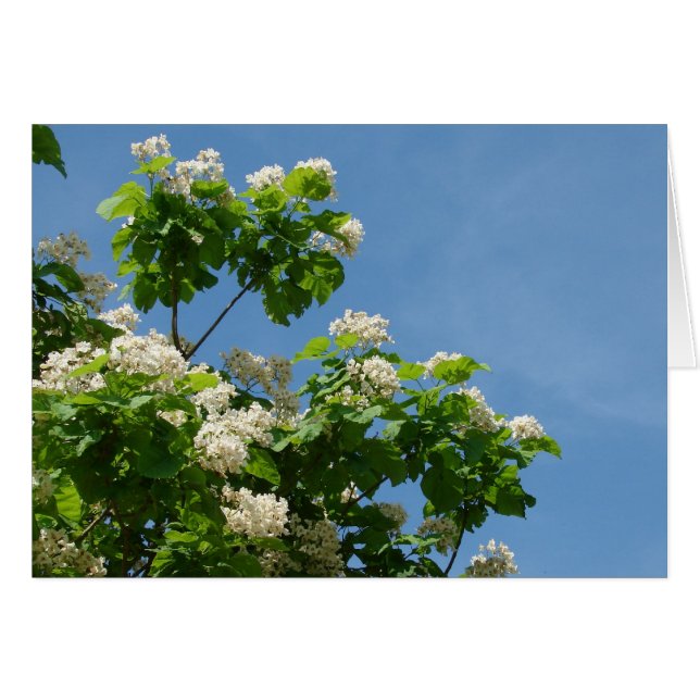 In Full Bloom (Front Horizontal)