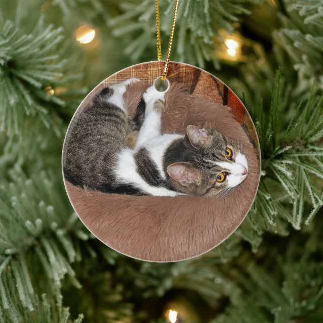 In Her Cat Bed Ceramic Tree Decoration (Tree)
