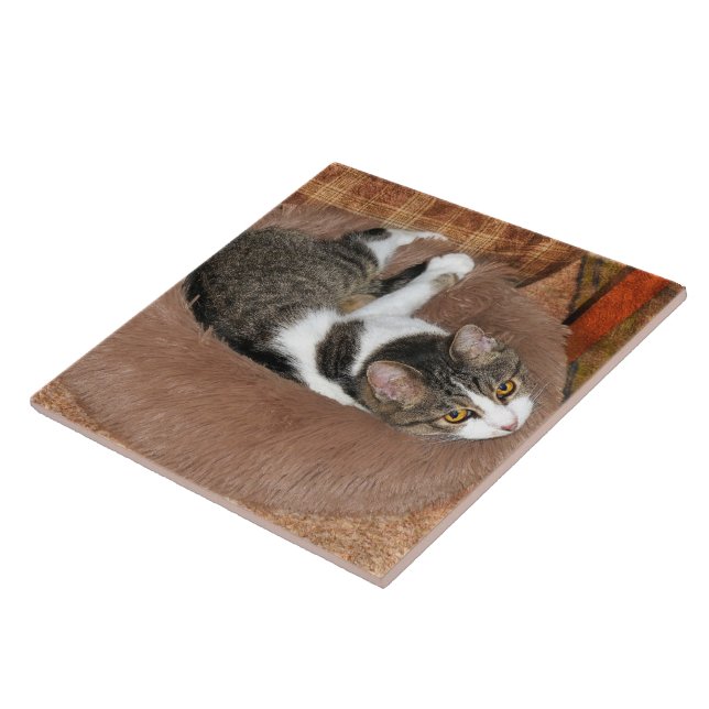 In Her Cat Bed Tile (Side)