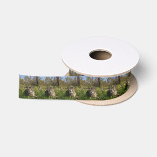 In His Comfort Zone Satin Ribbon