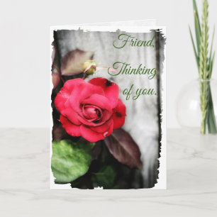 In His Loving Care Note Card