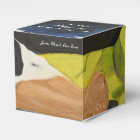 In Jesus Name We Pray Favour Boxes