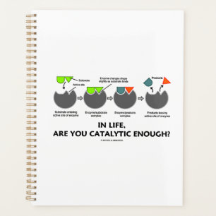 In Life, Are You Catalytic Enough? Enzyme Humour Planner