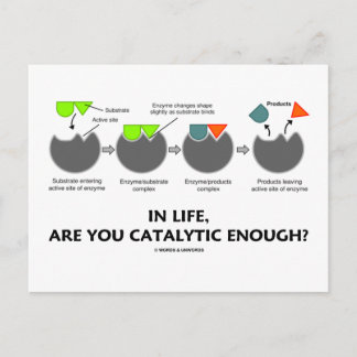 In Life Are You Catalytic Enough? (Enzyme) Postcard